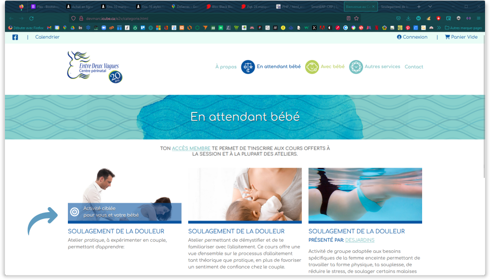 Site web - les activités