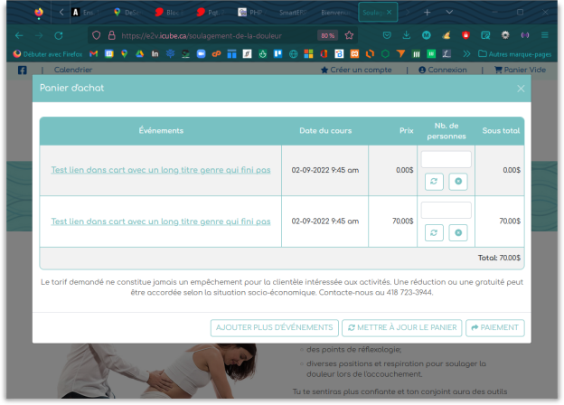 Site web - panier d'achats